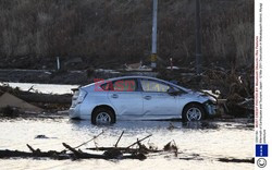 Trzęsienie ziemi i tsunami w Japonii