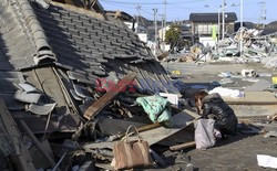 Trzęsienie ziemi i tsunami w Japonii