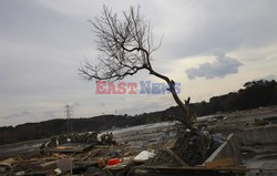 Trzęsienie ziemi i tsunami w Japonii