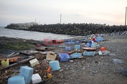 Trzęsienie ziemi i tsunami w Japonii