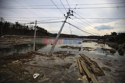 Trzęsienie ziemi i tsunami w Japonii