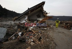 Trzęsienie ziemi i tsunami w Japonii