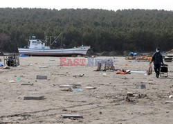 Trzęsienie ziemi i tsunami w Japonii