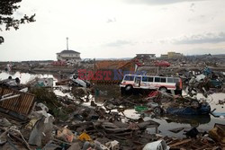 Trzęsienie ziemi i tsunami w Japonii