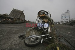 Trzęsienie ziemi i tsunami w Japonii