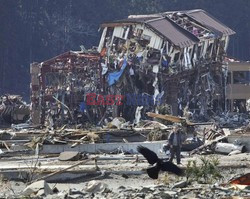 Trzęsienie ziemi i tsunami w Japonii