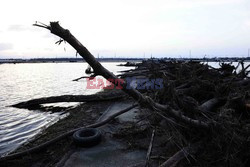 Trzęsienie ziemi i tsunami w Japonii