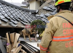 Trzęsienie ziemi i tsunami w Japonii