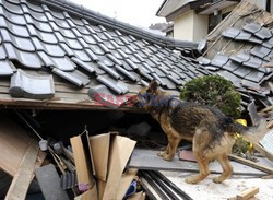 Trzęsienie ziemi i tsunami w Japonii