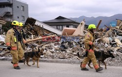 Trzęsienie ziemi i tsunami w Japonii