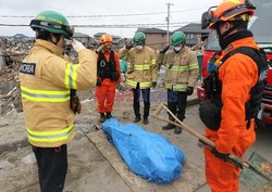 Trzęsienie ziemi i tsunami w Japonii