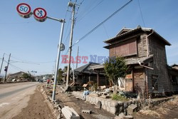 Trzęsienie ziemi i tsunami w Japonii