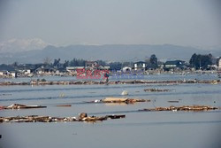 Trzęsienie ziemi i tsunami w Japonii