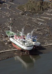 Trzęsienie ziemi i tsunami w Japonii