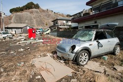 Trzęsienie ziemi i tsunami w Japonii