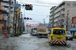 Trzęsienie ziemi i tsunami w Japonii