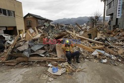 Trzęsienie ziemi i tsunami w Japonii