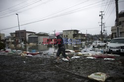 Trzęsienie ziemi i tsunami w Japonii