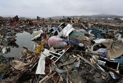 Trzęsienie ziemi i tsunami w Japonii