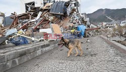 Trzęsienie ziemi i tsunami w Japonii