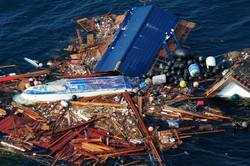 Trzęsienie ziemi i tsunami w Japonii