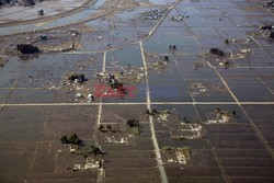 Trzęsienie ziemi i tsunami w Japonii