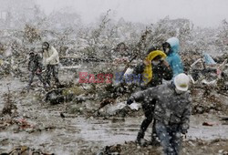 Trzęsienie ziemi i tsunami w Japonii