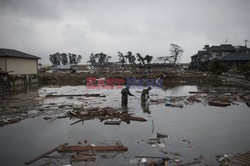 Trzęsienie ziemi i tsunami w Japonii