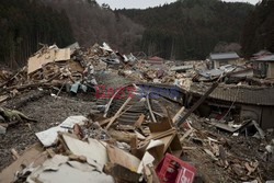 Trzęsienie ziemi i tsunami w Japonii