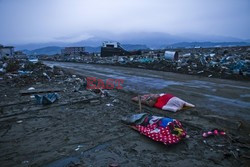 Trzęsienie ziemi i tsunami w Japonii