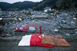 Trzęsienie ziemi i tsunami w Japonii