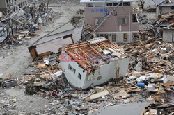 Trzęsienie ziemi i tsunami w Japonii