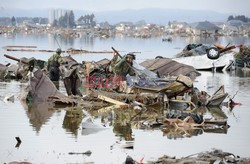 Trzęsienie ziemi i tsunami w Japonii