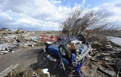 Trzęsienie ziemi i tsunami w Japonii