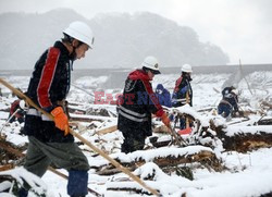 Trzęsienie ziemi i tsunami w Japonii