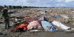 Trzęsienie ziemi i tsunami w Japonii