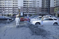 Trzęsienie ziemi i tsunami w Japonii