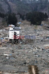 Trzęsienie ziemi i tsunami w Japonii