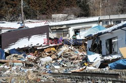 Trzęsienie ziemi i tsunami w Japonii