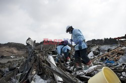 Trzęsienie ziemi i tsunami w Japonii