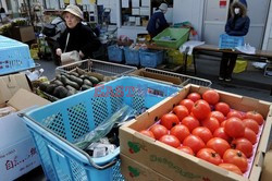 Trzęsienie ziemi i tsunami w Japonii