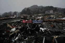 Trzęsienie ziemi i tsunami w Japonii