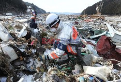 Trzęsienie ziemi i tsunami w Japonii