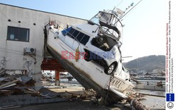 Trzęsienie ziemi i tsunami w Japonii