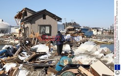 Trzęsienie ziemi i tsunami w Japonii