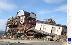 Trzęsienie ziemi i tsunami w Japonii