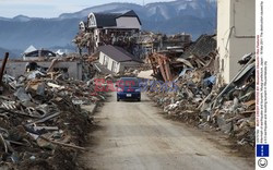 Trzęsienie ziemi i tsunami w Japonii