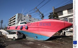 Trzęsienie ziemi i tsunami w Japonii