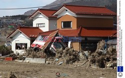 Trzęsienie ziemi i tsunami w Japonii