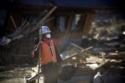 Trzęsienie ziemi i tsunami w Japonii